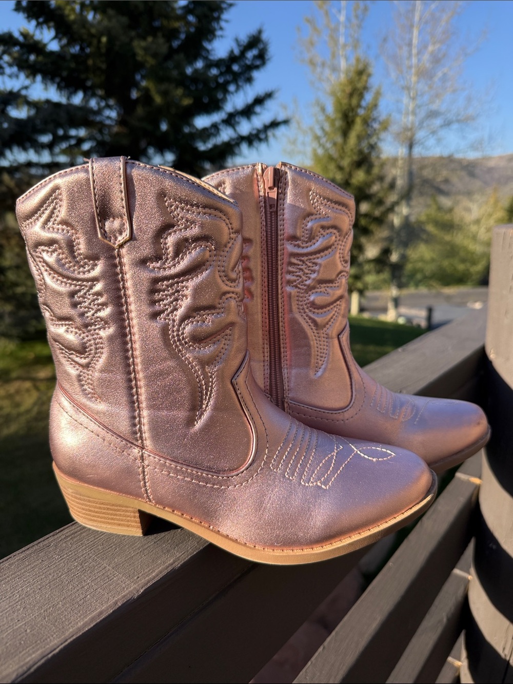 Soda Kids Metallic Rose Gold Cowboy Boots